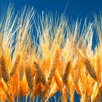 Expedice Ječmínek 2025