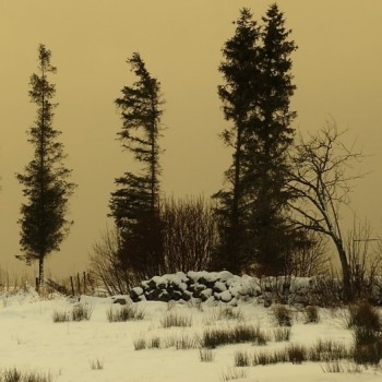 Z jednoho kolibřího vydání