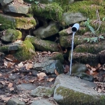 Když jdu blátem…